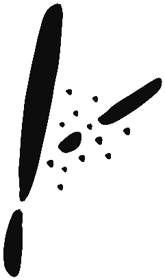 Image of the occurrence